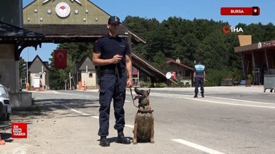 Bursa'da Uludağ'ın ormanlarında jandarmadan 24 saat motorize devriye