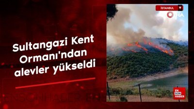 İstanbul'da Sultangazi Kent Ormanı'ndan alevler yükseldi