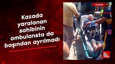 Nevşehir'de kazada yaralanan sahibinin ambulansta da başından ayrılmadı