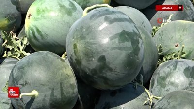 Adana'dan sosyal medyadaki karpuz tartışmalarına cevap