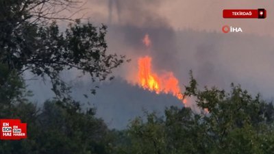Tekirdağ'da orman yangını havadan görüntülendi
