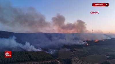 Tekirdağ'da orman yangını