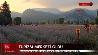 Adana'da lavanta tarlalarıyla kırsal mahalleler turizm merkezi oldu