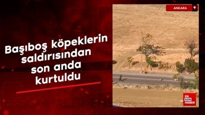 Ankara'da bir genç, başıboş köpeklerin saldırısından son anda kurtuldu