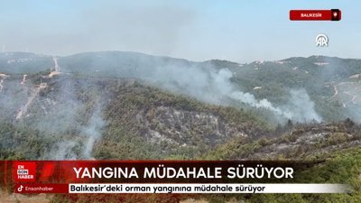 Balıkesir'de Orman yangınına müdahale sürüyor