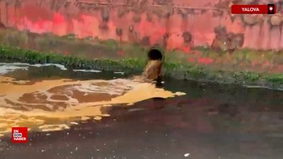 Marmara Denizi'ni kirleten tersaneye 3,7 milyon lira ceza