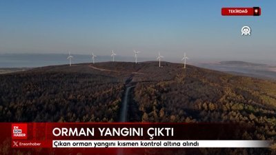 Tekirdağ'da çıkan orman yangını kısmen kontrol altına alındı