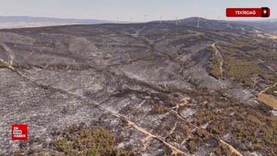 Tekirdağ'da yangında tahribatın boyutu havadan görüntülendi: Dev alanlar kül oldu