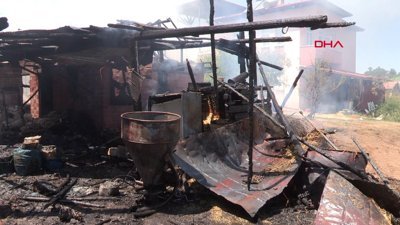 Tokat'ta yangında tonlarca buğday yandı, 7 büyükbaş öldü