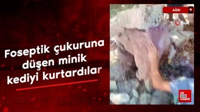Ağrı'da foseptik çukuruna düşen minik kediyi çocuklar kurtardı