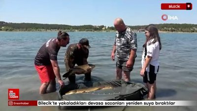 Bilecik'te yakaladıkları devasa sazanları yeniden suya bıraktılar
