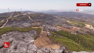 Tekirdağ'da yanan alanların öncesi ve sonrası yürek burktu