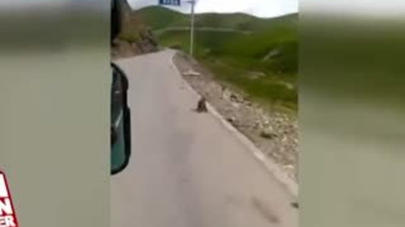 Sincaplar yolun ortasında birbirine girdi