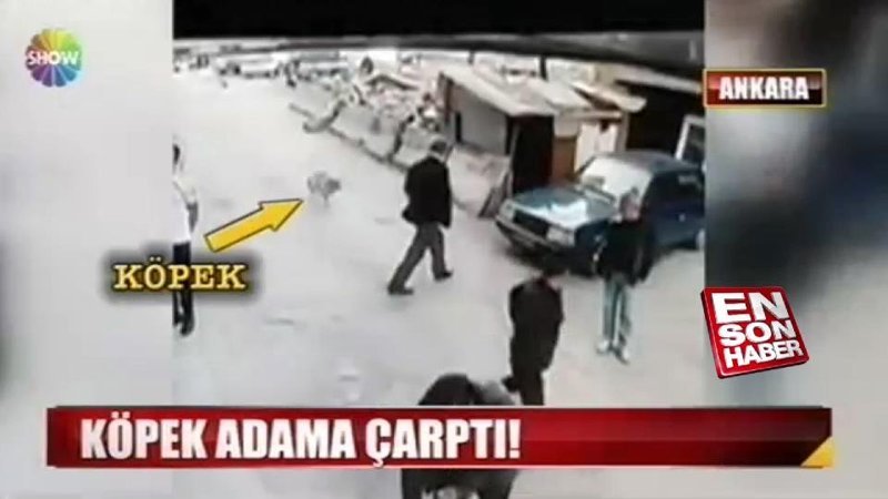 Köpeğin çarptığı adam hastanelik oldu