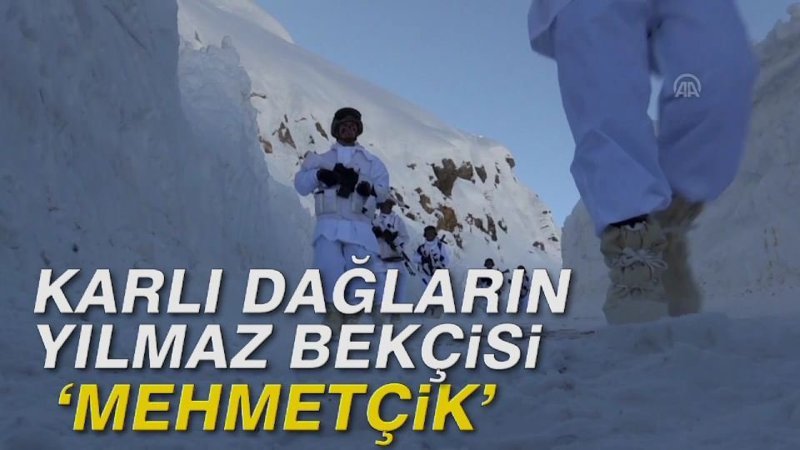 Karlı dağların yılmaz bekçisi 'Mehmetçik'