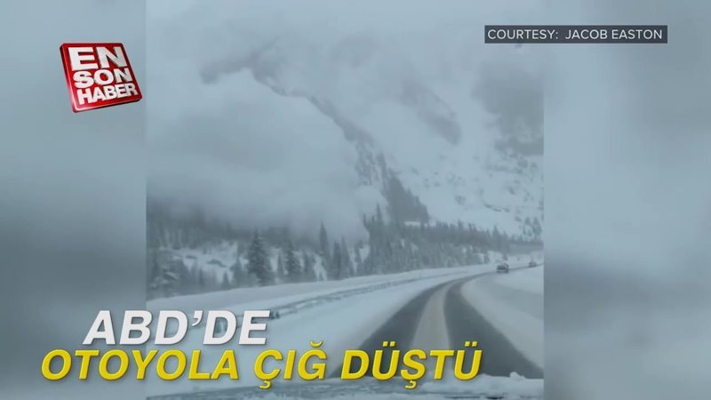 ABD'de otoyala çığ düştü