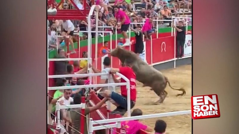 İspanya'da boğa tribüne atladı: 19 yaralı