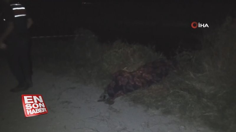 Genç çobanın cesedi sulama kanalından çıktı