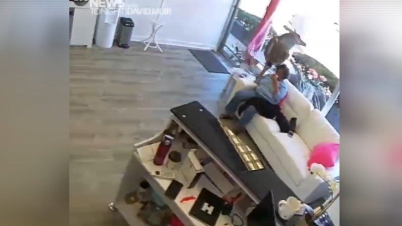 New York'ta bir geyik kuaföre daldı