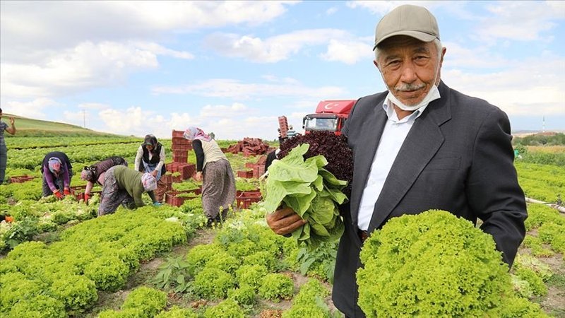 Ankara'da 74 yaşındaki adam çalışma azmiyle örnek oluyor