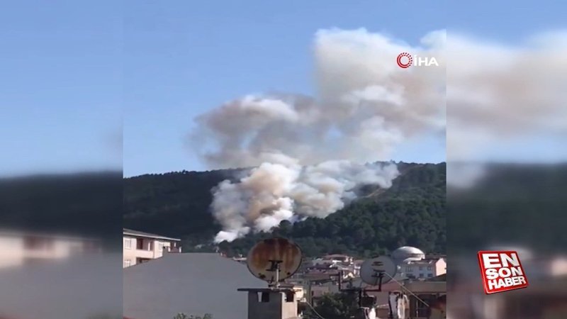 Aydos Ormanlarında yangın çıktı