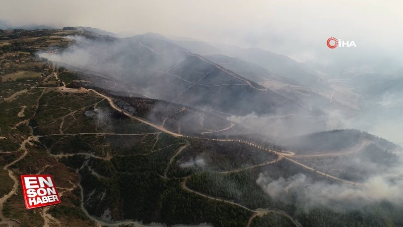 Adana'da orman yangını