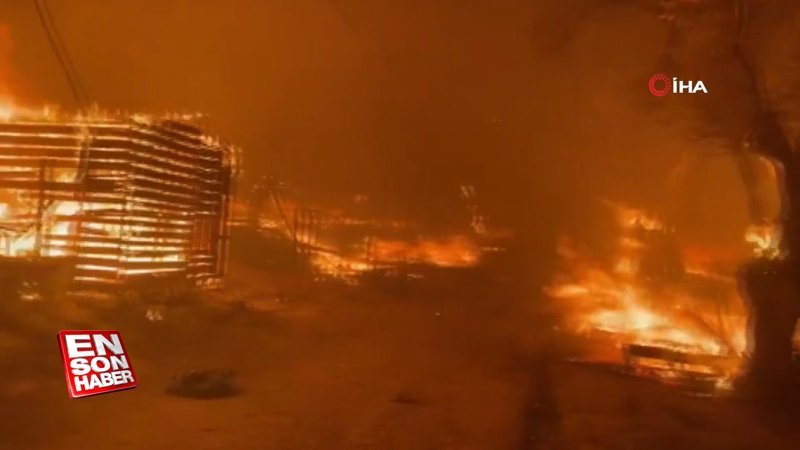 Midilli Adası'ndaki sığınmacı kampında yangın çıktı