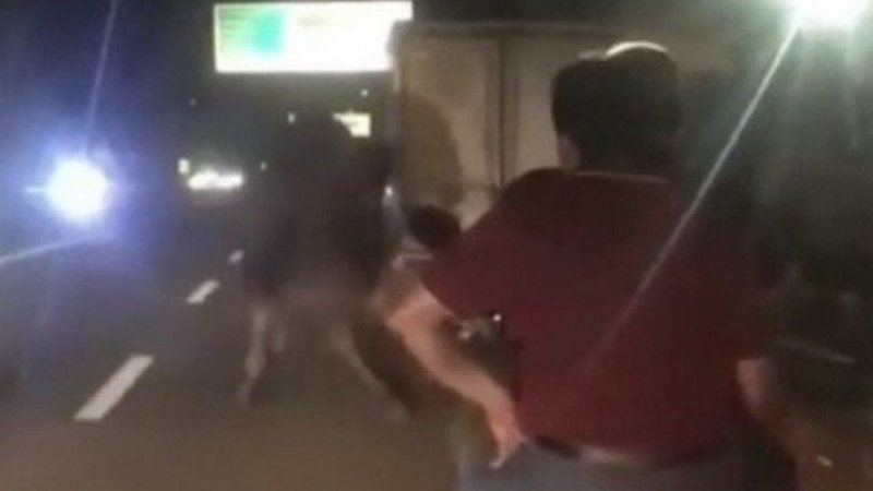 Bursa'da kamyonetin arkasına bağladıkları deveyi koşturdular