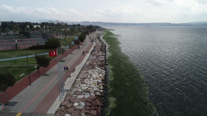 Karşıyaka'da sahili yosunlar bastı