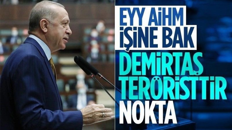 Cumhurbaşkanı Erdoğan: AİHM'in kararı siyasidir
