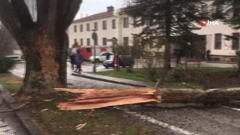 TBMM bahçesine yıldırım düştü