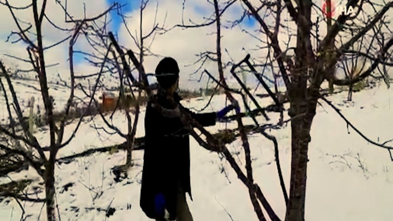 Kuraklık endişesi yaşayan kiraz üreticilerinin yüzü son yağışlarla güldü 