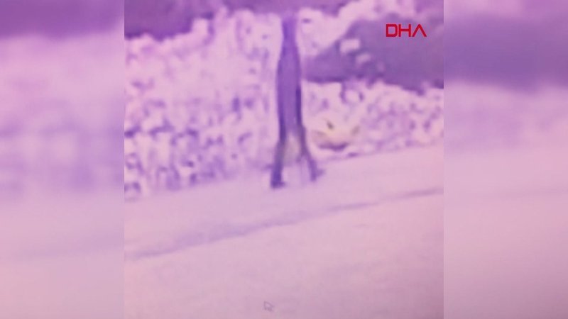 Tekirdağ'da Atatürk heykeline saldıran kişi kamerada