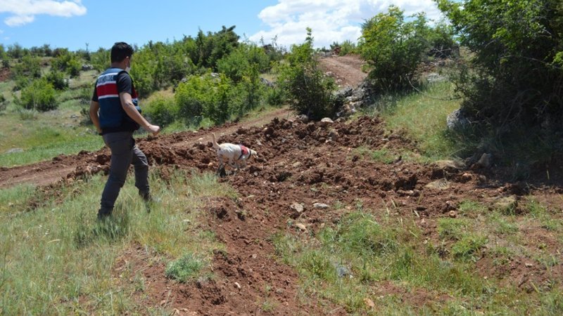 Adıyaman'da kaybolan genç aranıyor