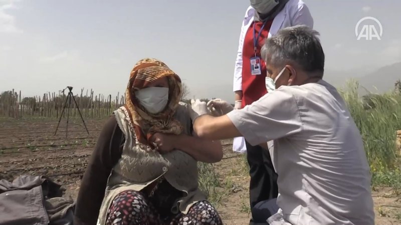 Erzincanlı çiftçi aile çapa yaptıkları tarlada aşılandı