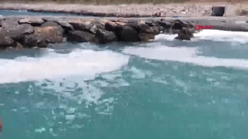 Doğu Akdeniz'de köpüklenme nedeniyle müsilaj endişesi