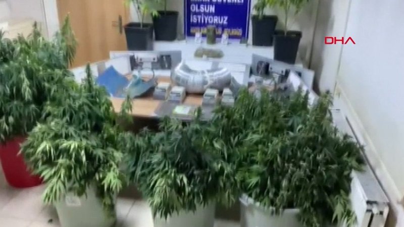 Beylikdüzü'nde deniz manzaralı villa uyuşturucu serası çıktı