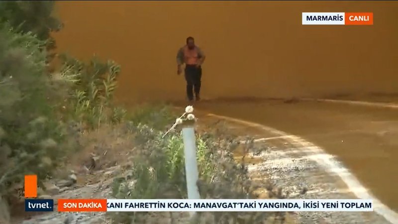 Marmaris'te alevlerin ortasından çıkan vatandaş