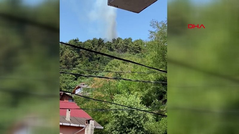 Beykoz'da orman yangını