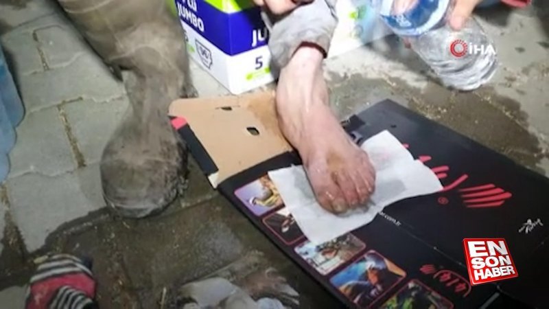 Aydın'da yaralı ayağına aldırış etmeden yangından yangına koştu