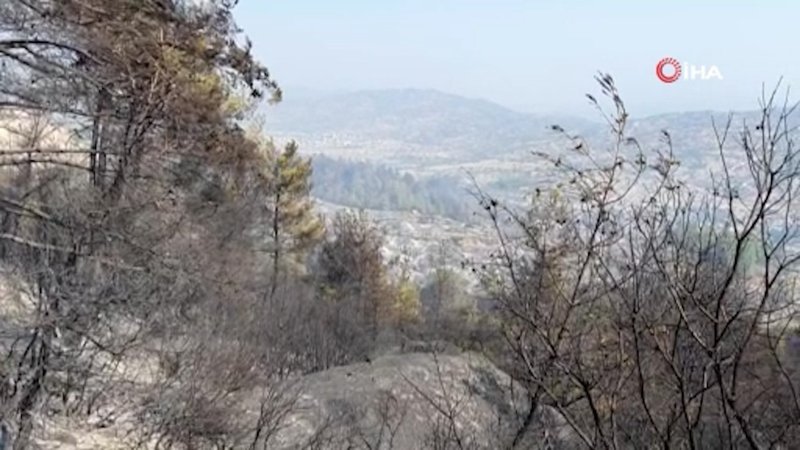 Çine’de yeşil siyaha döndü