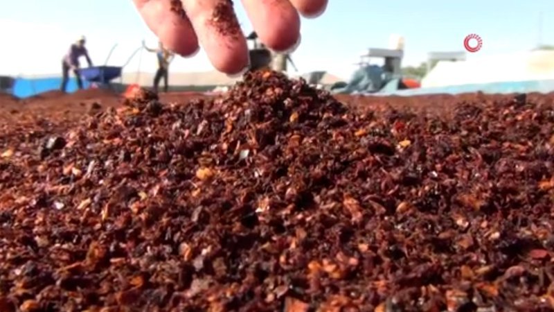 Şanlıurfa’da acı telaş