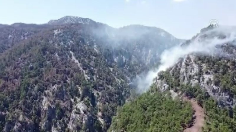 Muğla Köyceğiz'de orman yangını