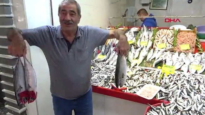 Çanakkale'de palamut, 45 liradan tezgaha serildi