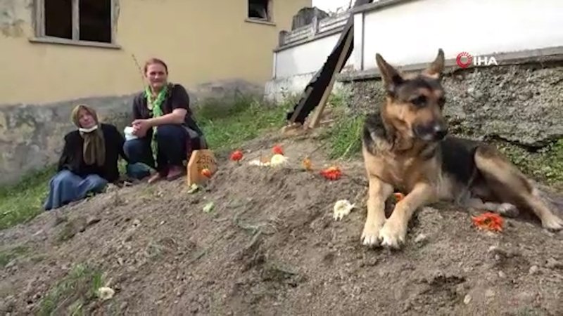 Trabzon'da ölen sahibinin mezarından ayrılmayan köpek