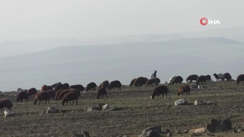 Kars’tan Iğdır’a göçerlerin zorlu yolculuğu