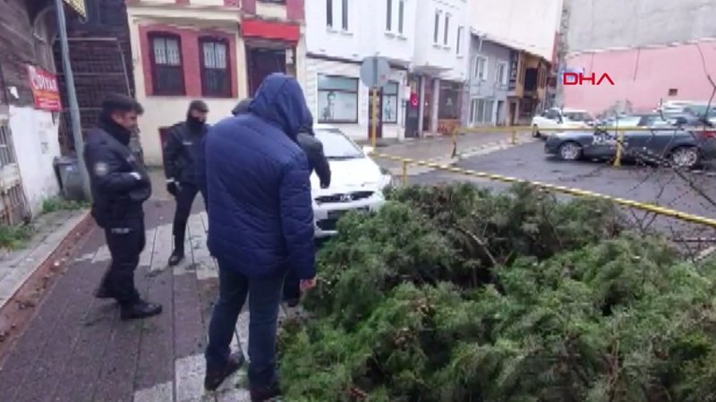 Tekirdağ'da fırtınanın devirdiği ağaç, araçlara zarar verdi
