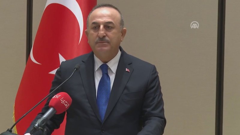 Mevlüt Çavuşoğlu: Cumhurbaşkanımız 14 Şubat'ta BAE'ye gidecek