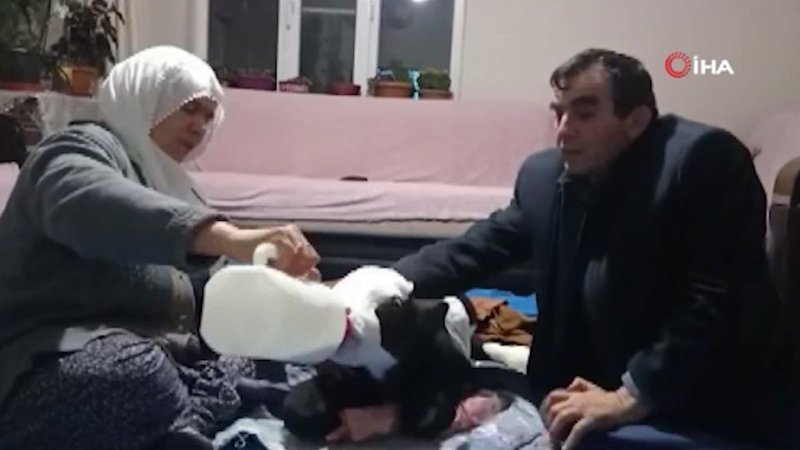 Kahramanmaraş'ta gözleri görmeyen buzağı bebek gibi bakılıyor