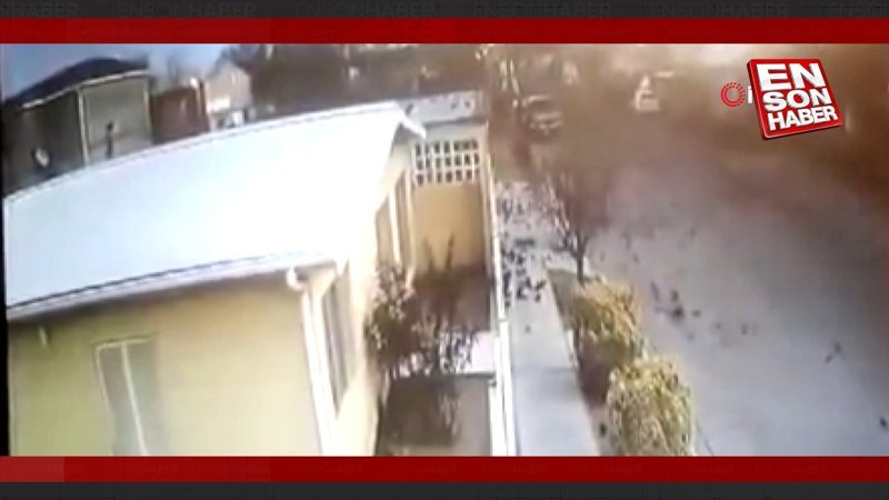 Meksika'da kuş sürüsü yere çakıldı